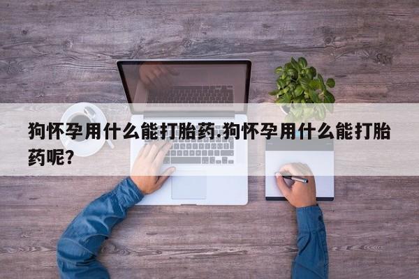 药流药货到付款狗怀孕用什么能打胎药.狗怀孕用什么能打胎药呢？