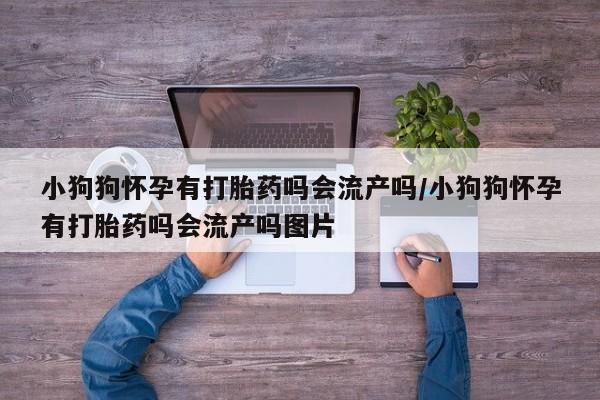 药流药货到付款小狗狗怀孕有打胎药吗会流产吗/小狗狗怀孕有打胎药吗会流产吗图片