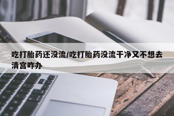药流药货到付款吃打胎药还没流/吃打胎药没流干净又不想去清宫咋办