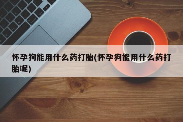 药流药货到付款怀孕狗能用什么药打胎(怀孕狗能用什么药打胎呢)